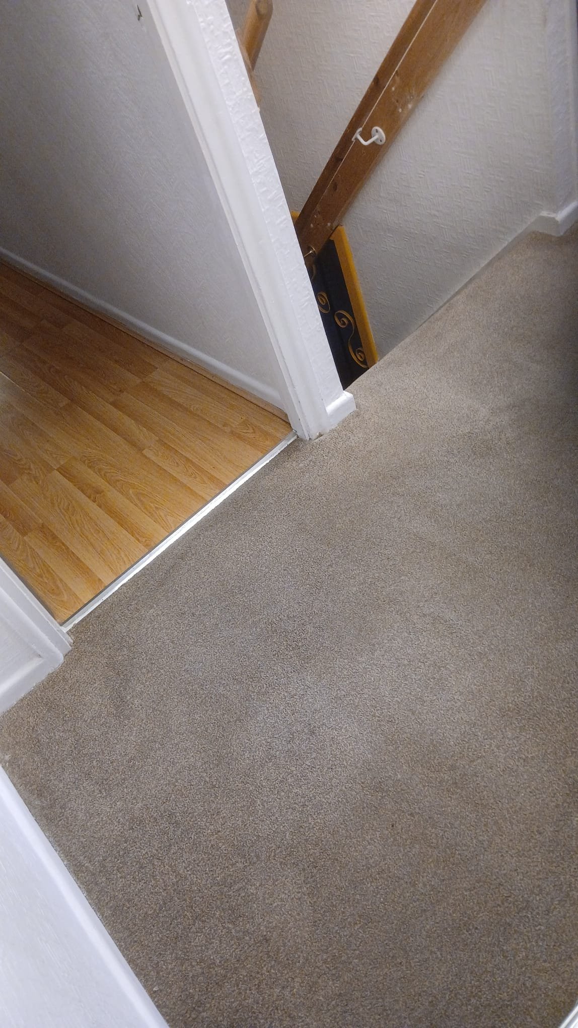 Living room carpet after deep hot water extraction cleaning in Coventry