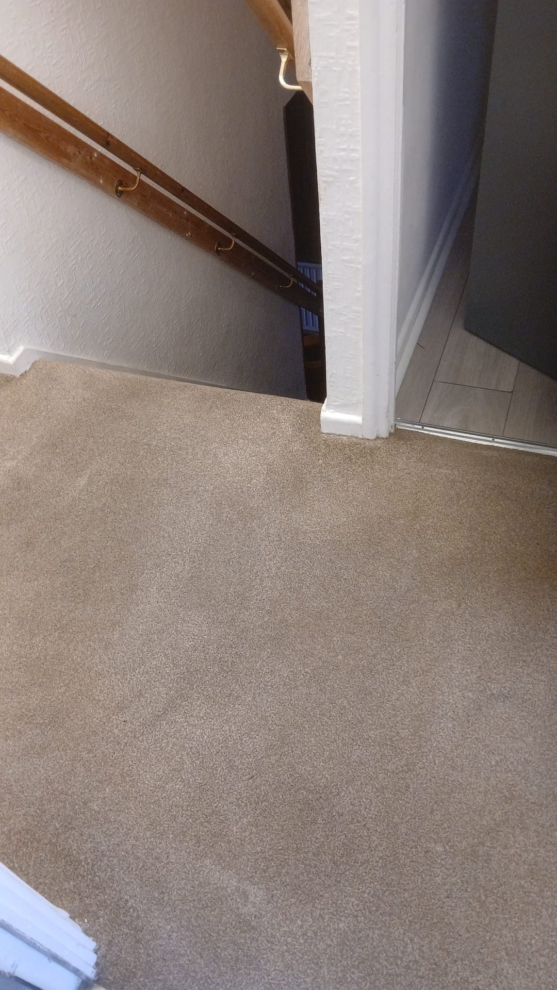 Patterned rug cleaned with wool-safe, pH-balanced solutions