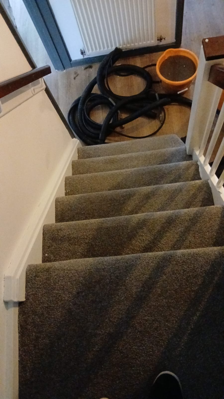 Stair carpet cleaned edge to edge including the nosings