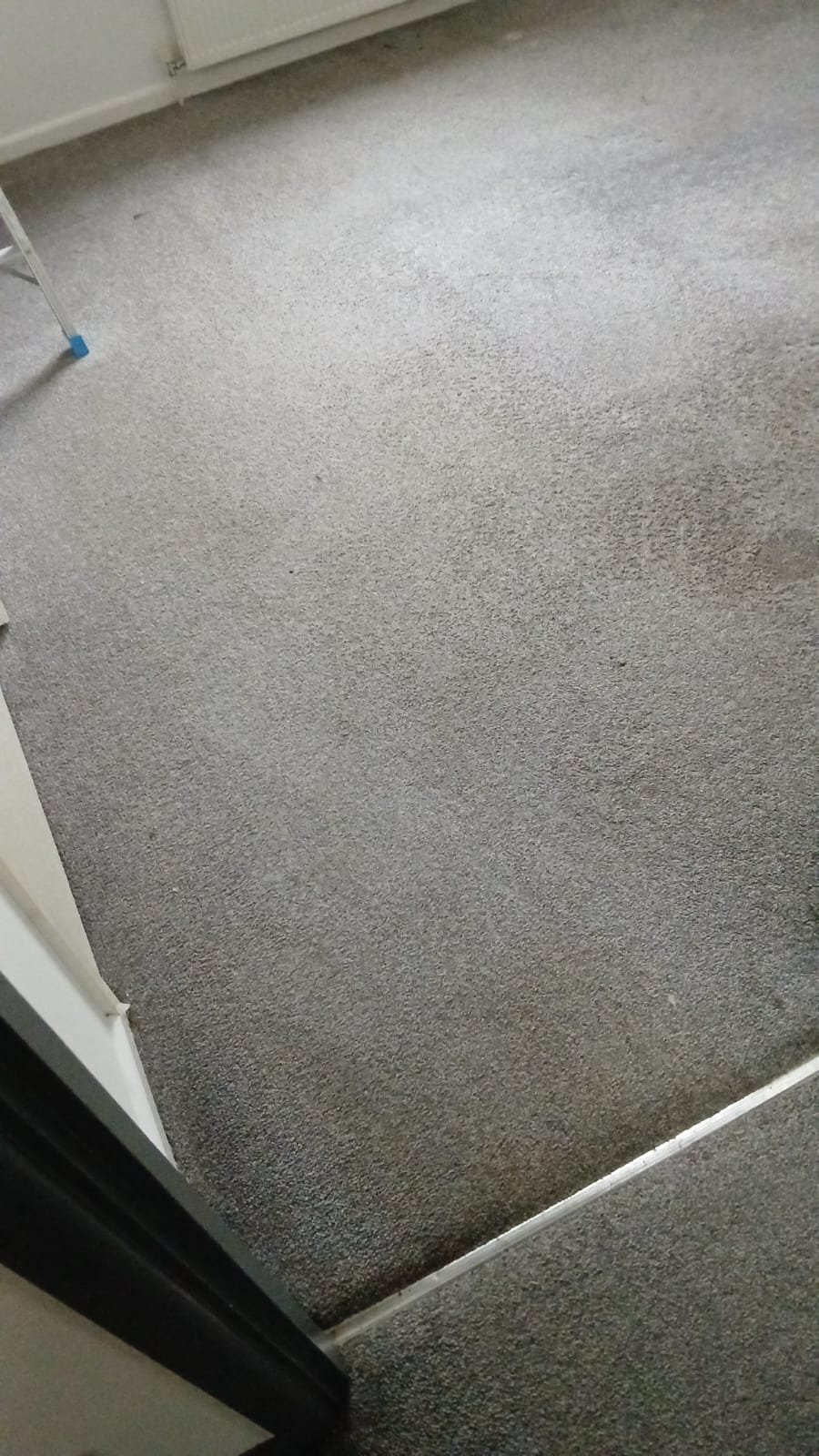 Bedroom carpet restored after professional stain treatment